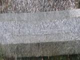 image of grave number 709344